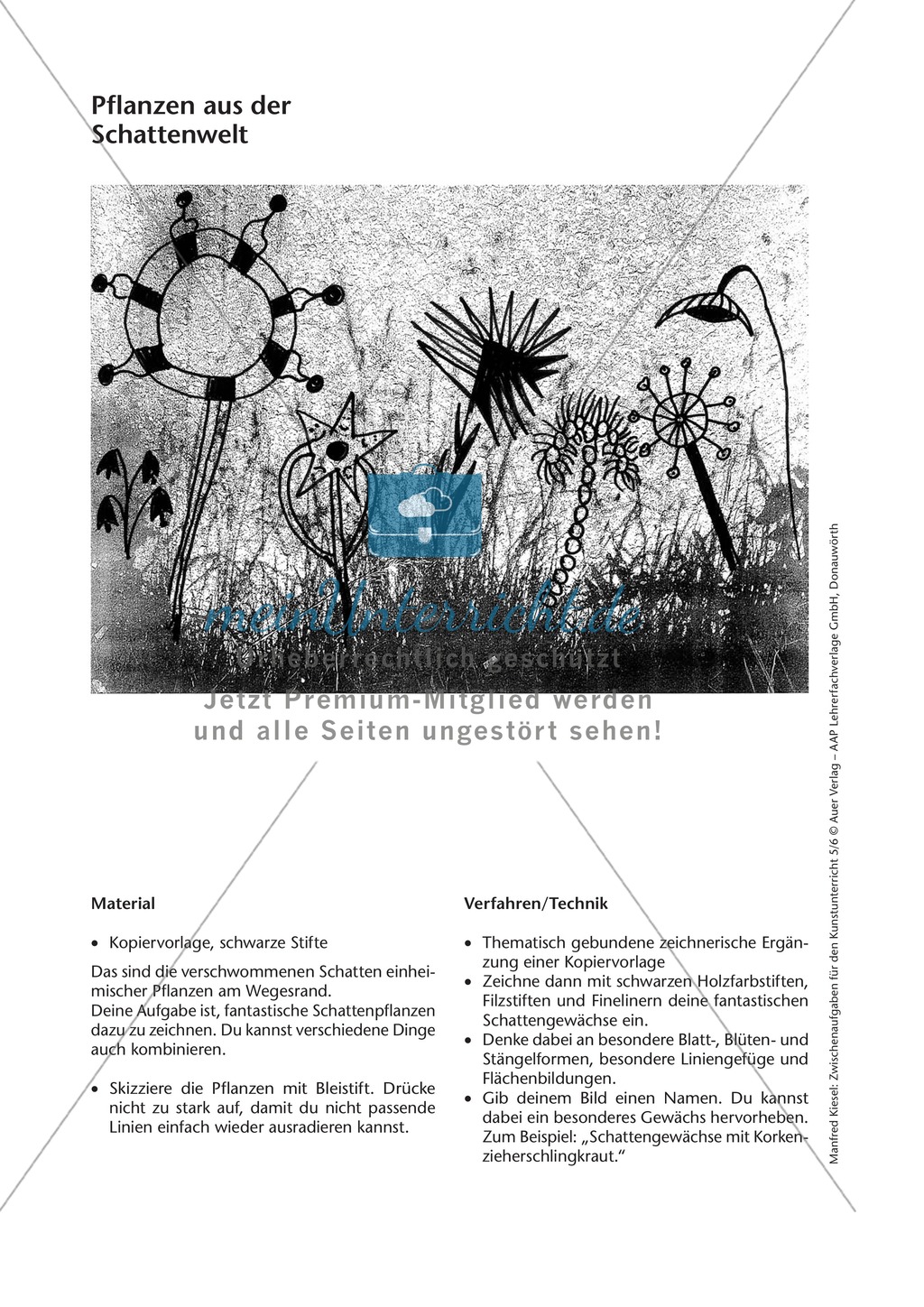 Pflanzen aus der