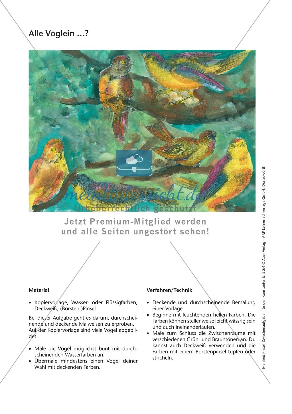 Deckende und durchscheinende Bemalung einer Vorlage Preview 1