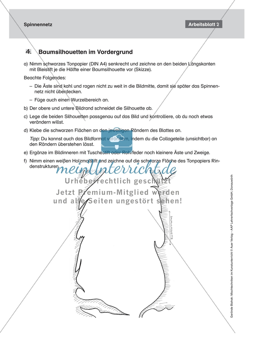 Mit Tusche und Rohrfeder ein Spinnennetz zeichnen Preview 3