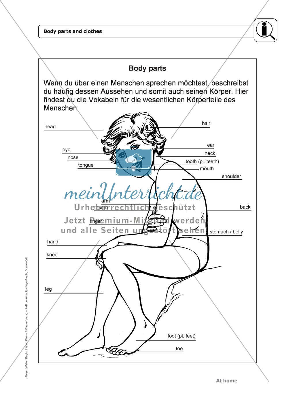 At home: body parts and clothes - Exercises + Lösungen Preview 1