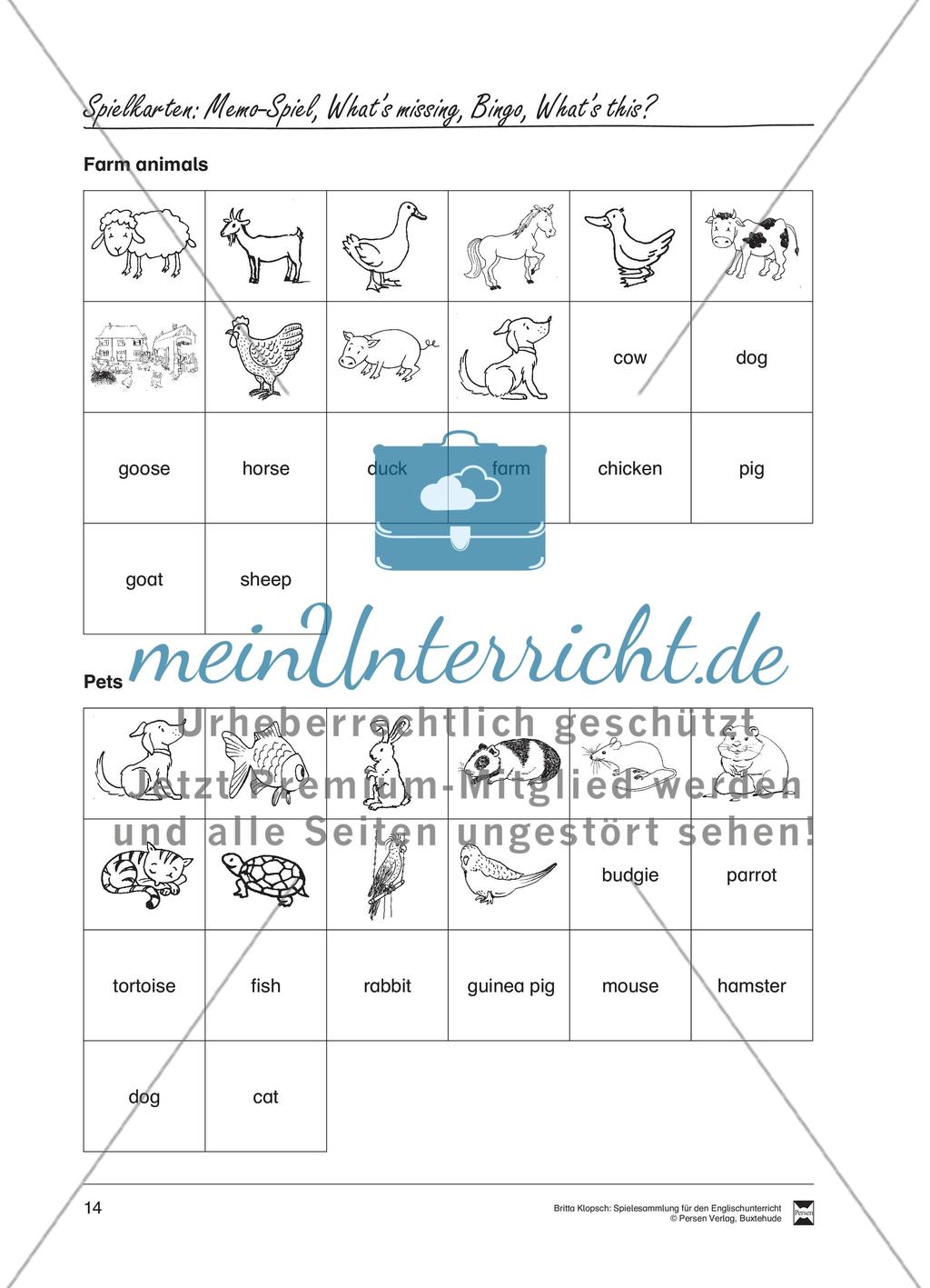 Memo-Spiel / Bingo / What’s missing Preview 7
