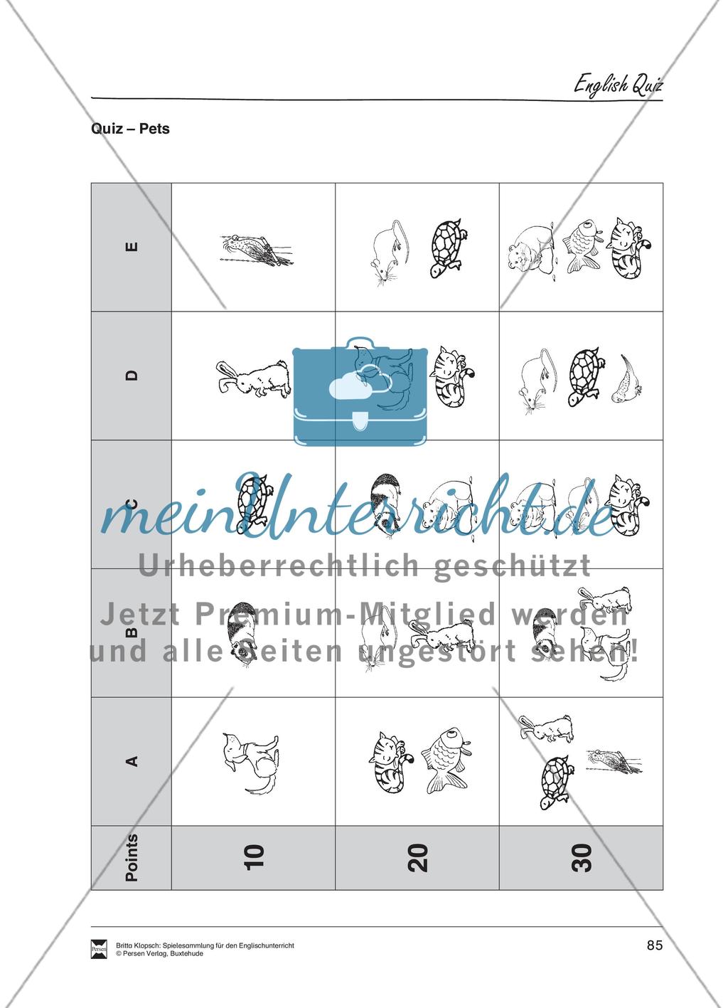 English Quiz Preview 4