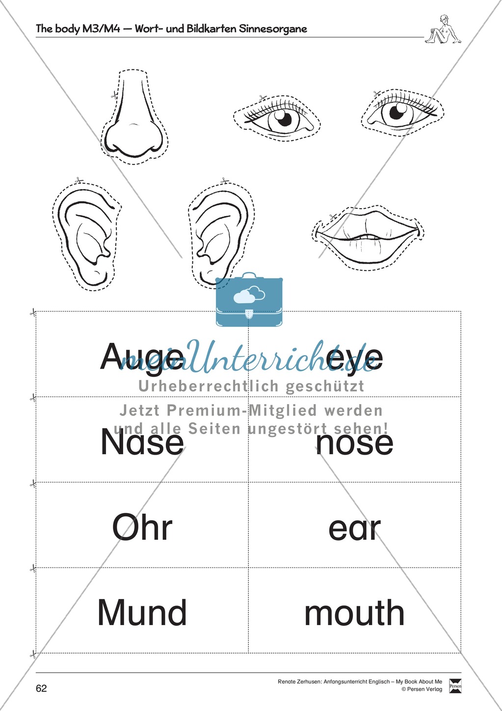 The body vocabulary: Worksheets on the body (Binnendifferenziert) Preview 8
