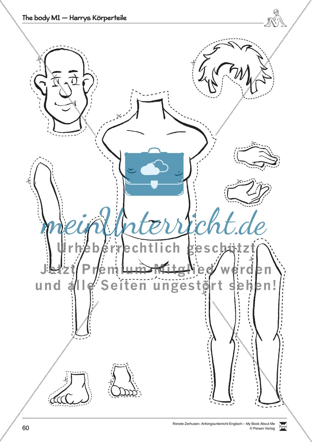 The body Preview 6