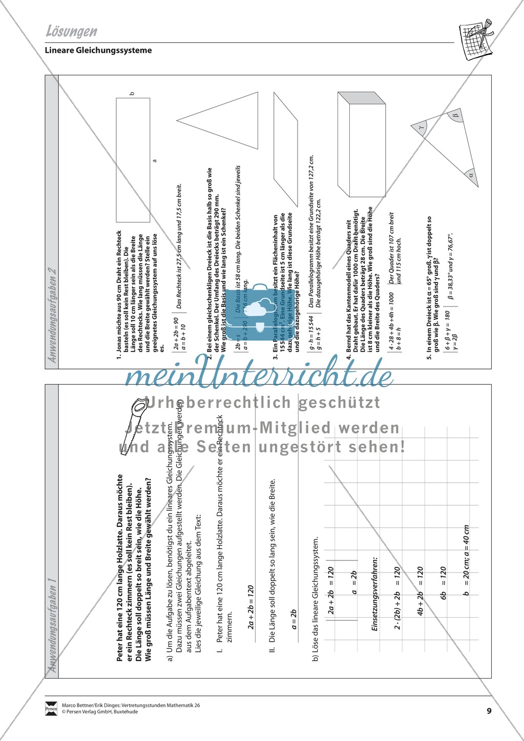 Sachaufgaben zur Anwendung linearer Gleichungssysteme Preview 3