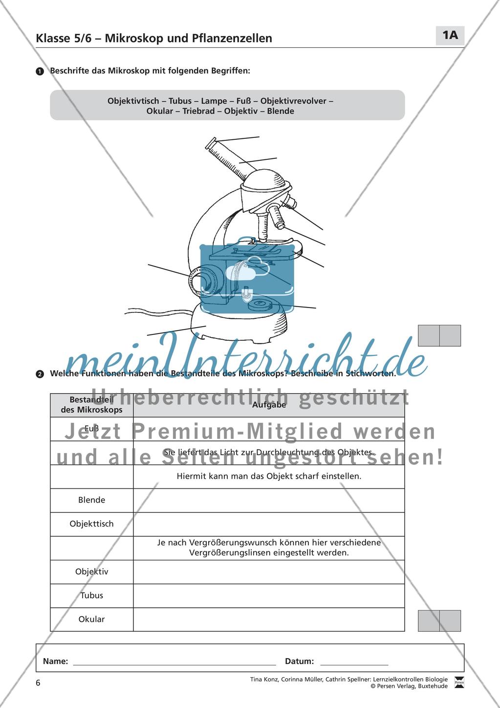 Mikroskop und Pflanzenzellen Preview 1