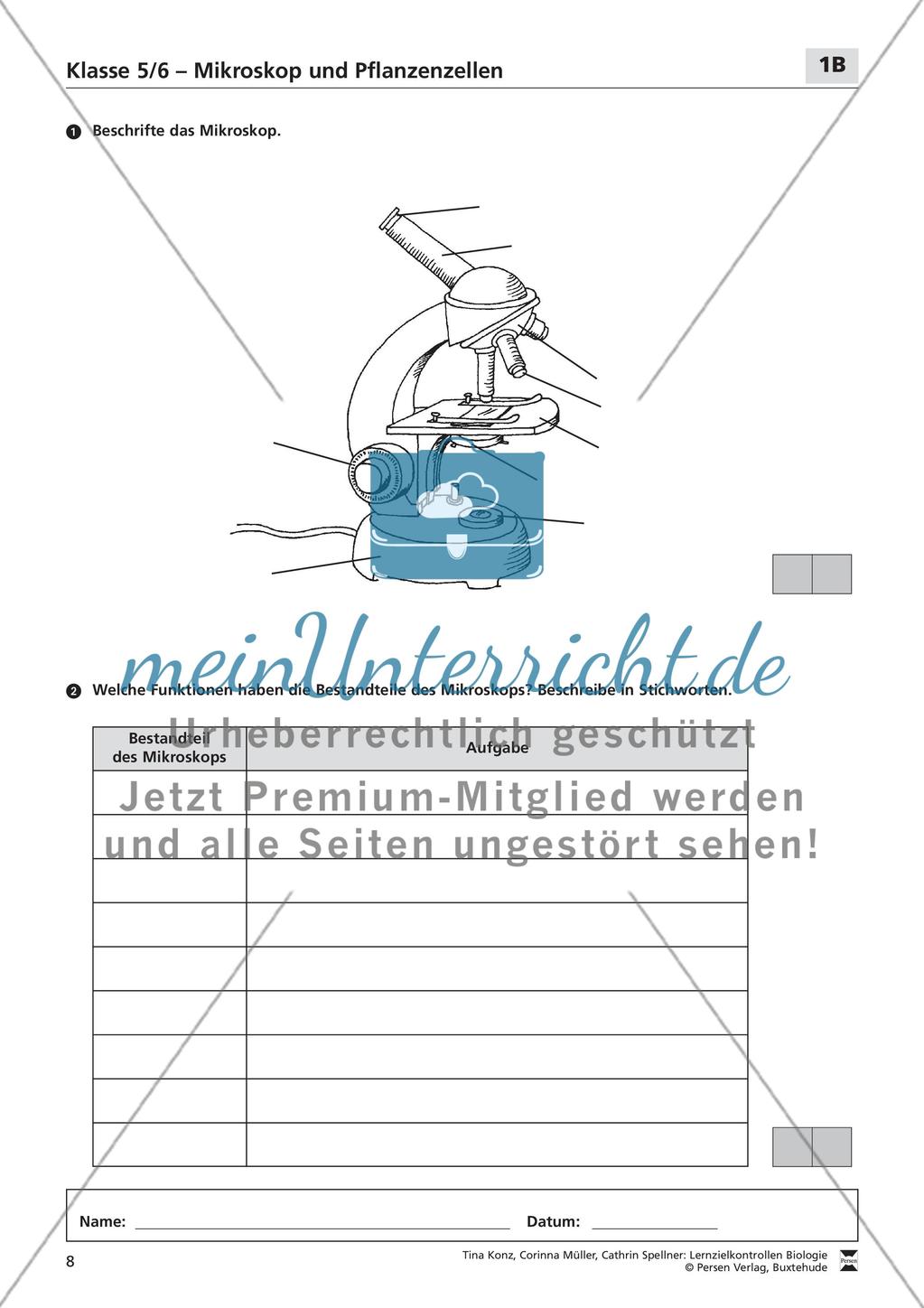 Mikroskop und Pflanzenzellen Preview 3