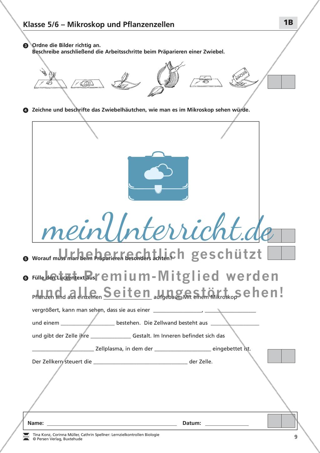 Mikroskop und Pflanzenzellen Preview 4