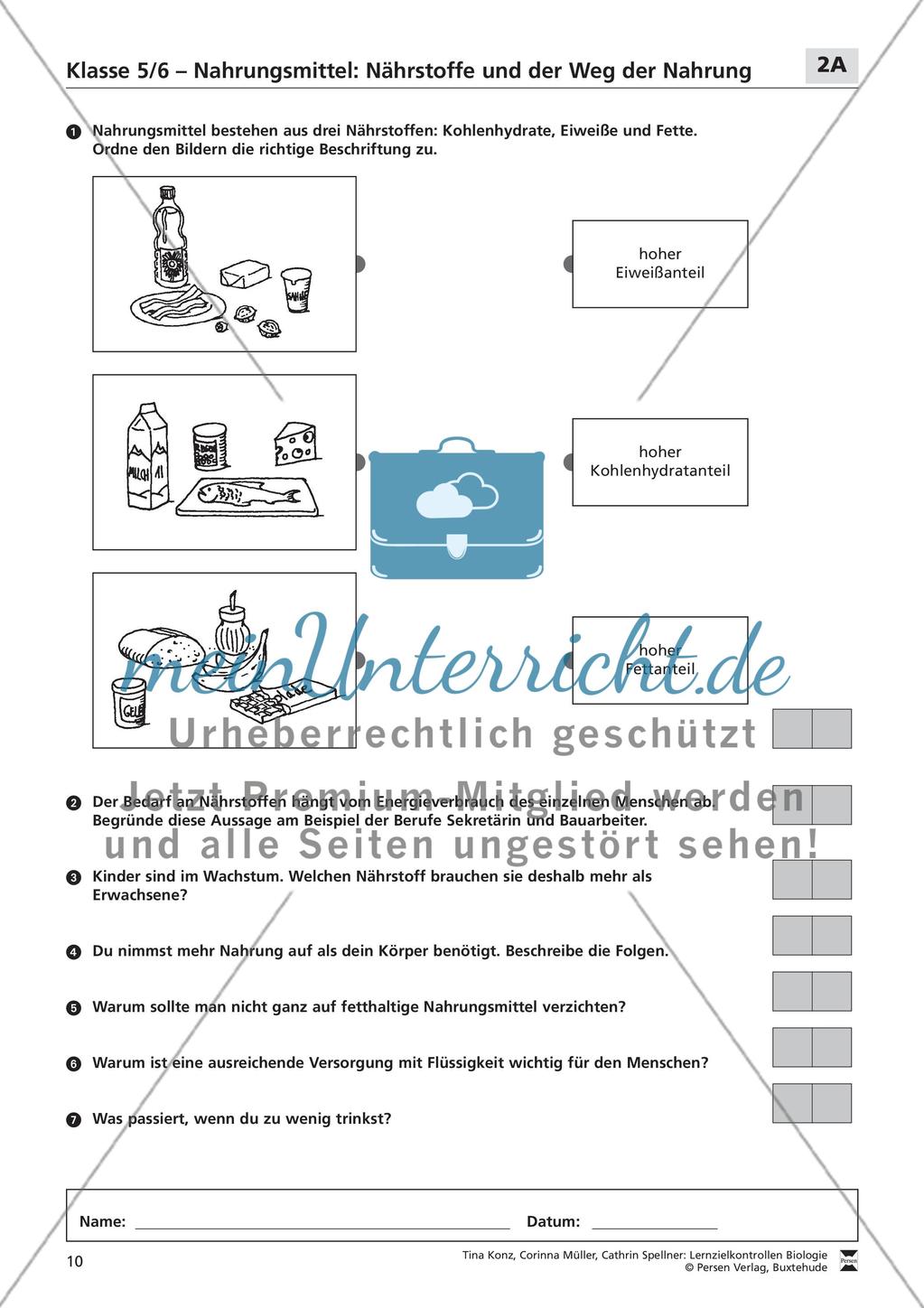 Nahrungsmittel: Nährstoffe und der Weg der Nahrung Preview 1