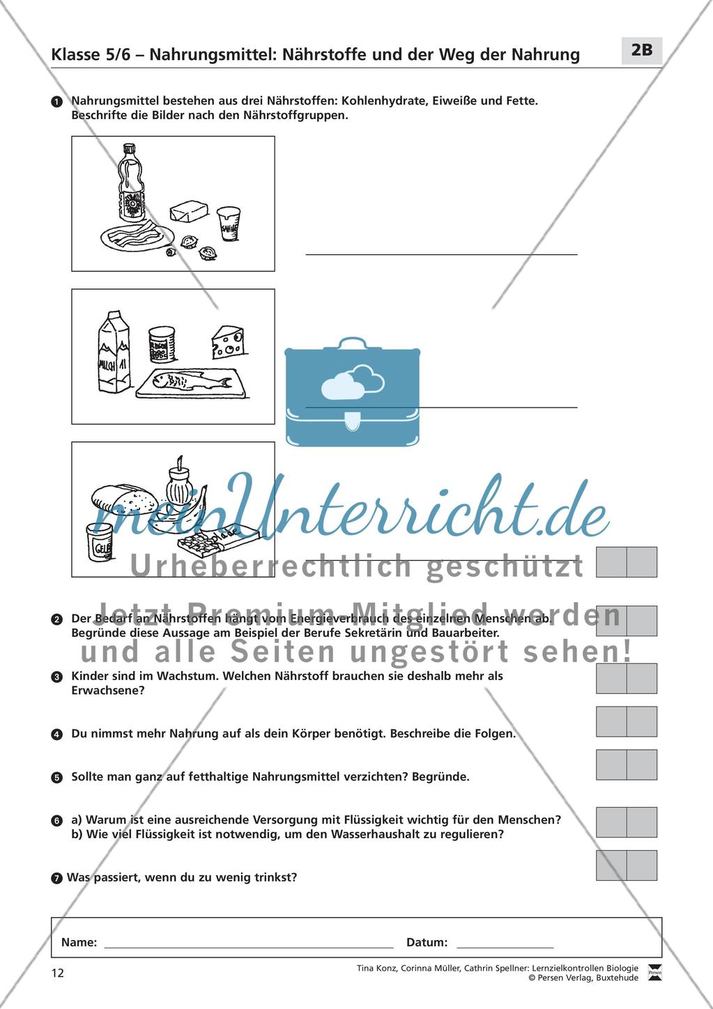 Nahrungsmittel: Nährstoffe und der Weg der Nahrung Preview 3
