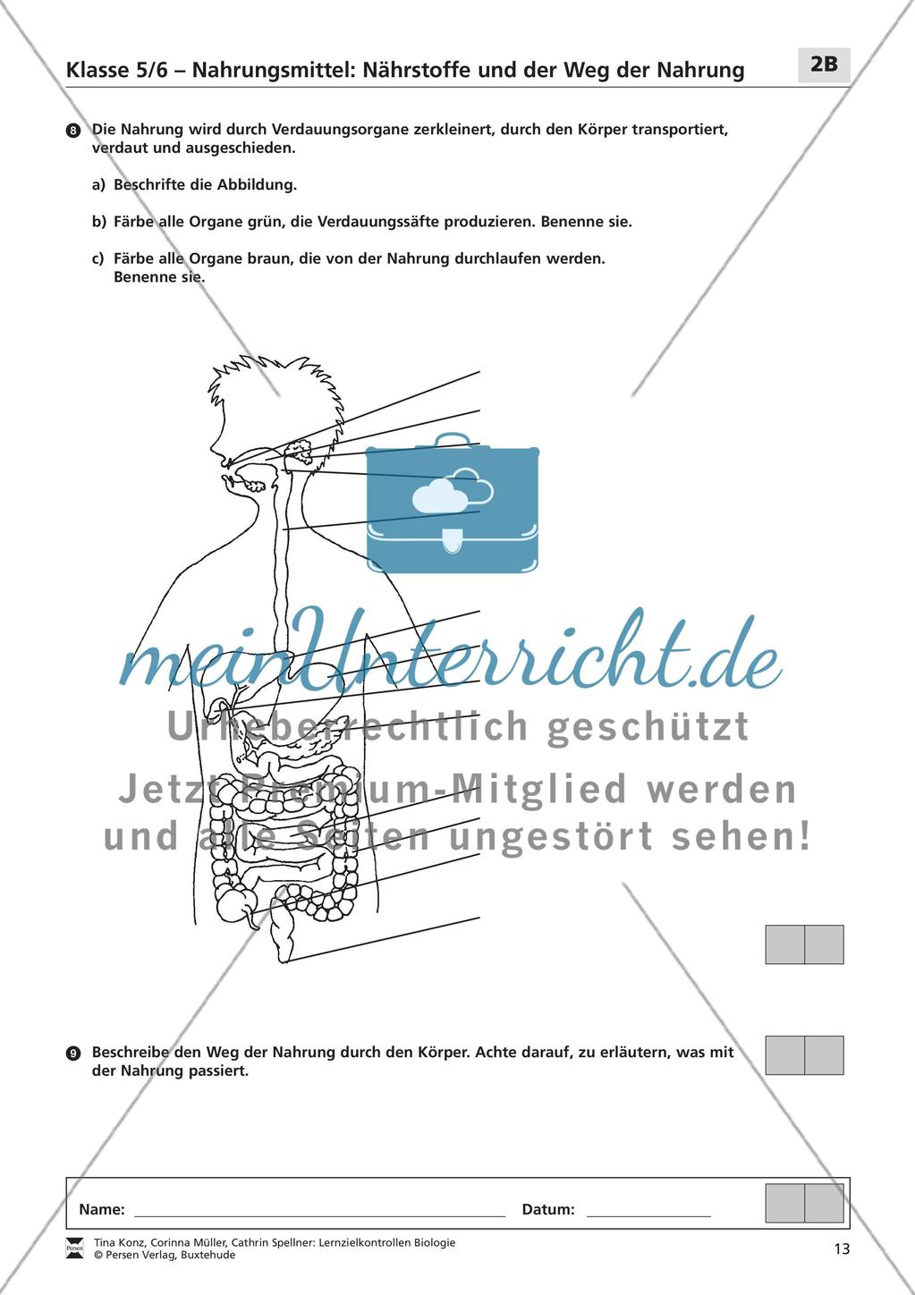 Nahrungsmittel: Nährstoffe und der Weg der Nahrung Preview 4