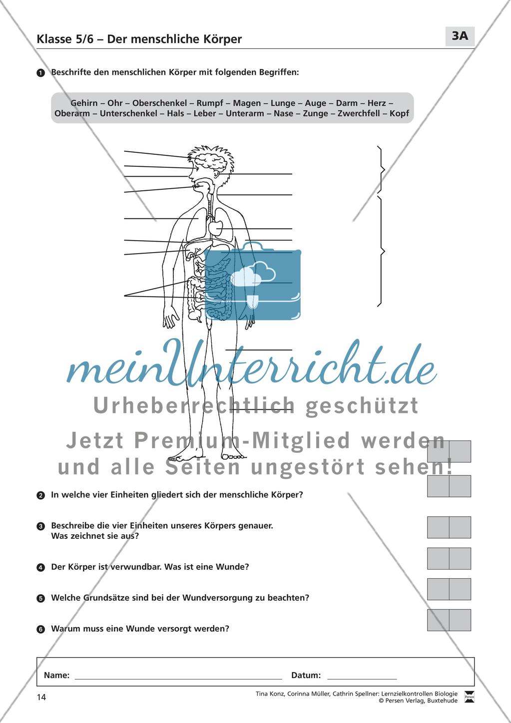 Der menschliche Körper Preview 1