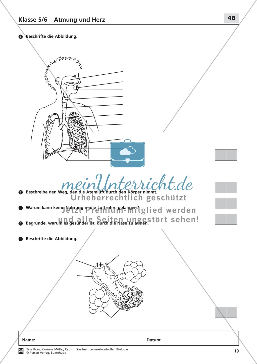 LZK Klasse 5/6 zum Thema Atmung und Herz Preview 4