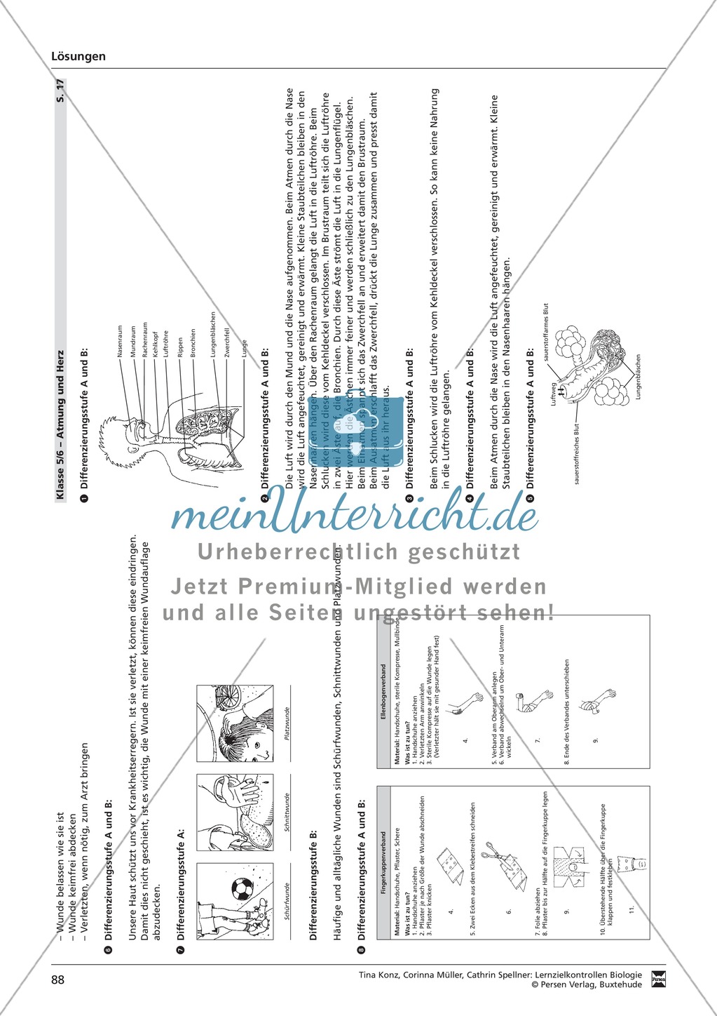 LZK Klasse 5/6 zum Thema Atmung und Herz Preview 6