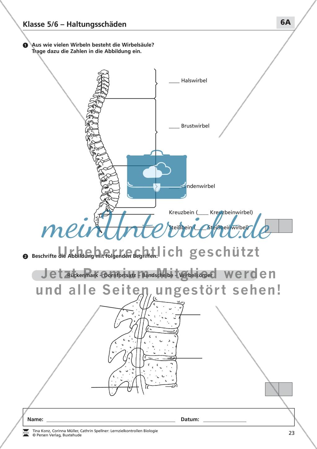 Haltungsschäden Preview 1