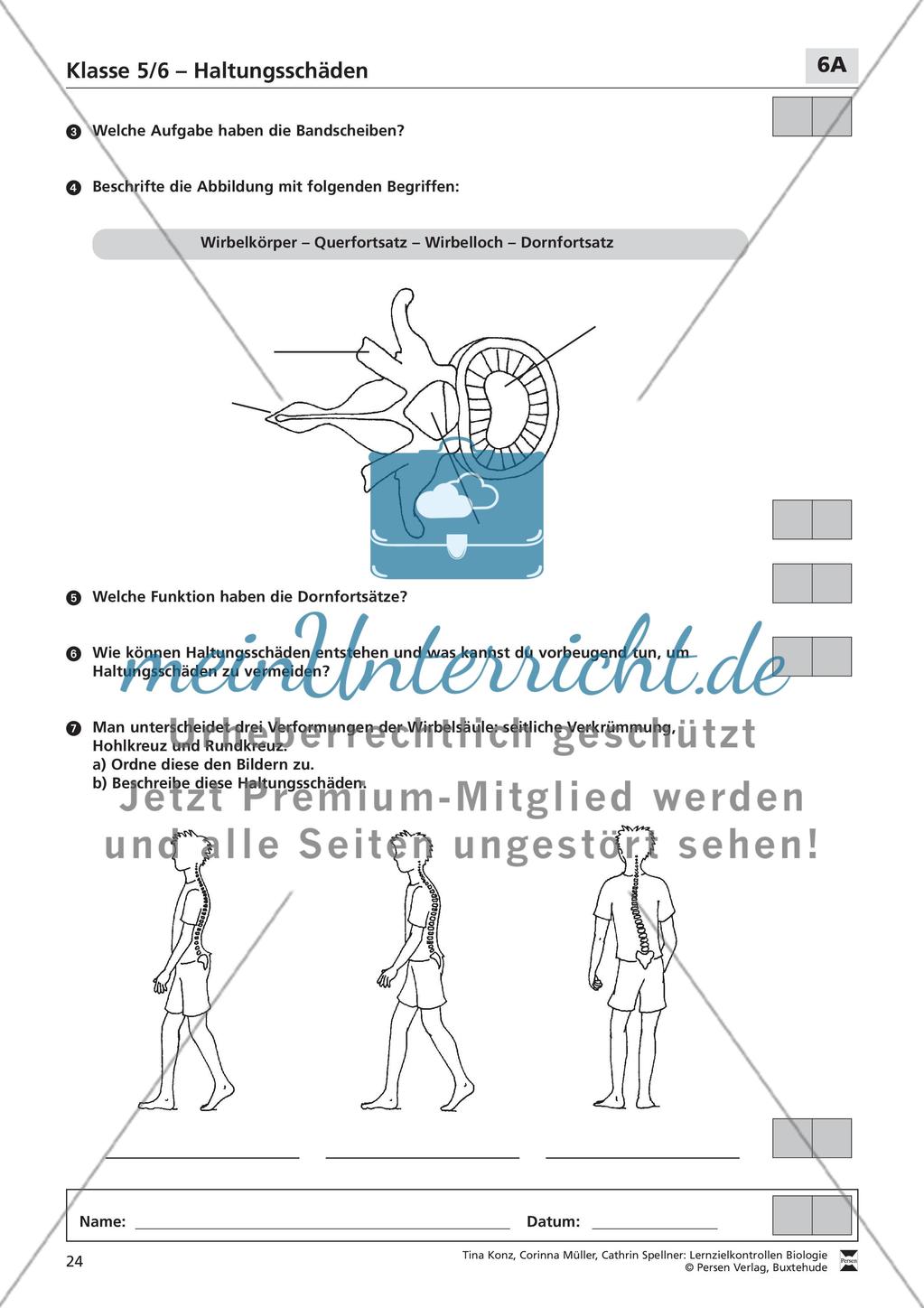 Haltungsschäden Preview 2