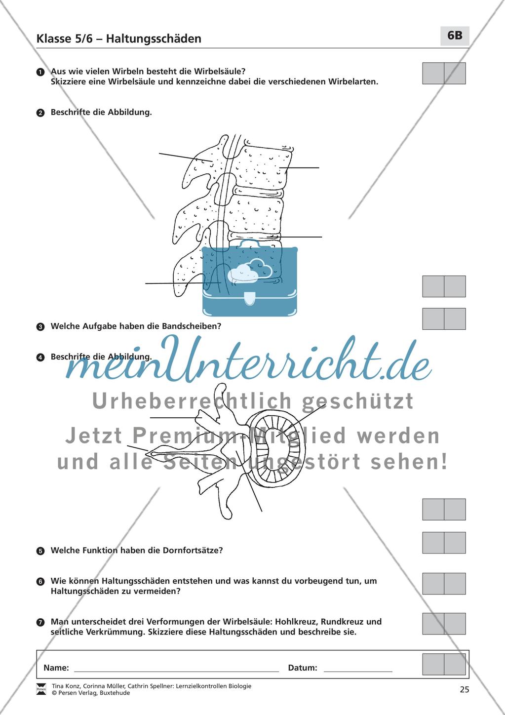 Haltungsschäden Preview 3