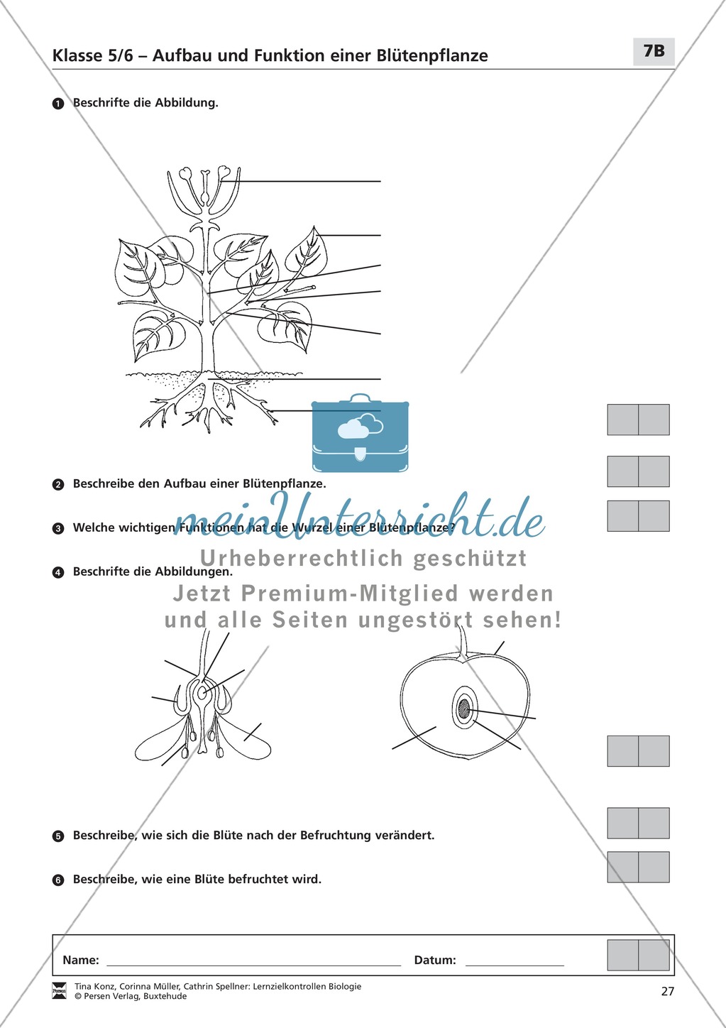 LZK Klasse 5/6 zum Thema Aufbau und Funktion einer Blütenpflanze Preview 3