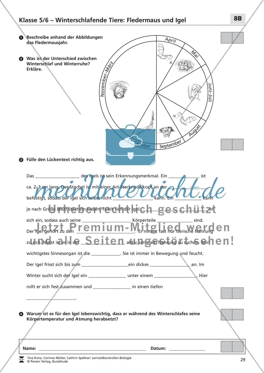Winterschlafende Tiere: Fledermaus und Igel Preview 2