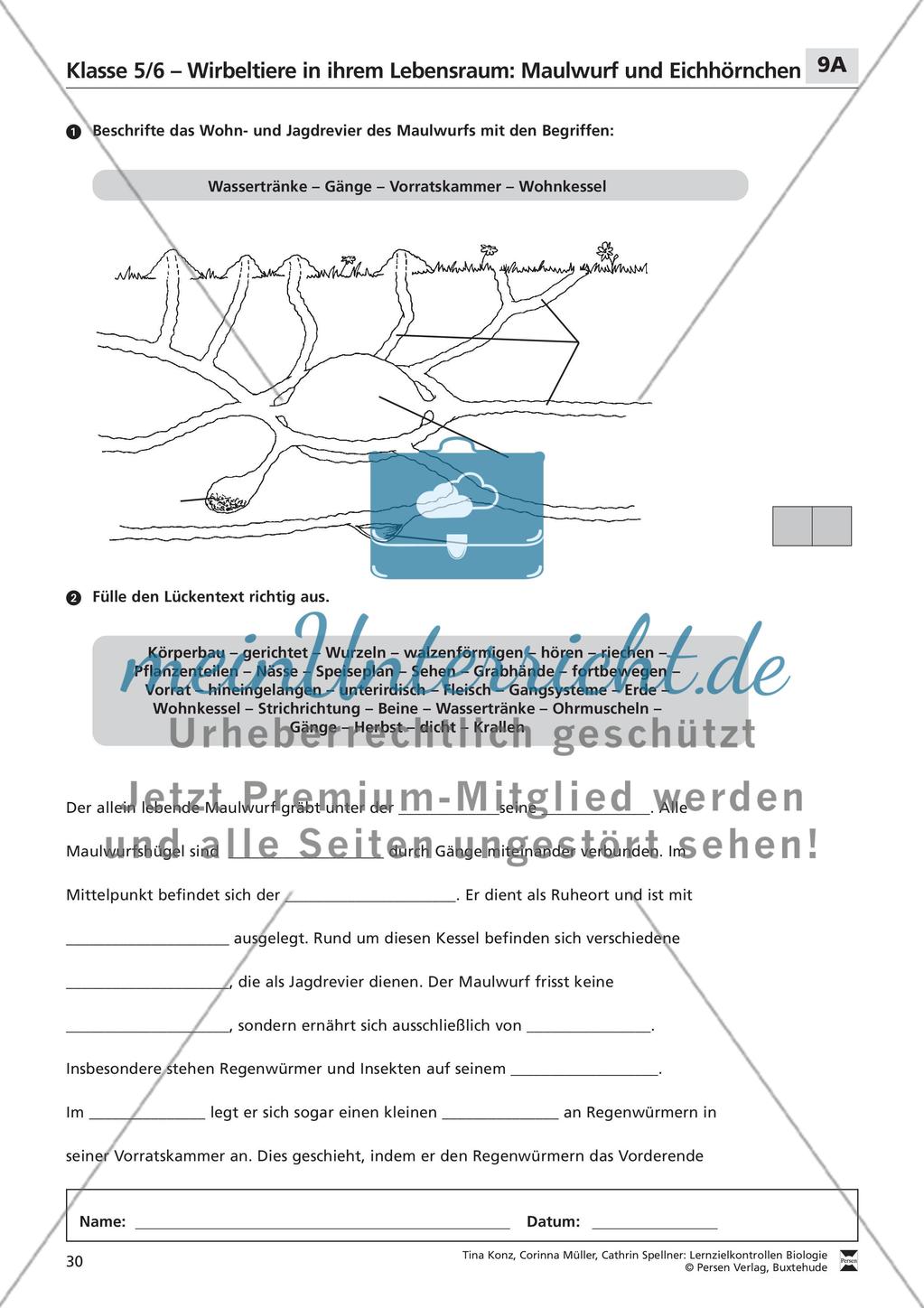 Wirbeltiere in ihrem Lebensraum: Maulwurf und Eichhörnchen Preview 1