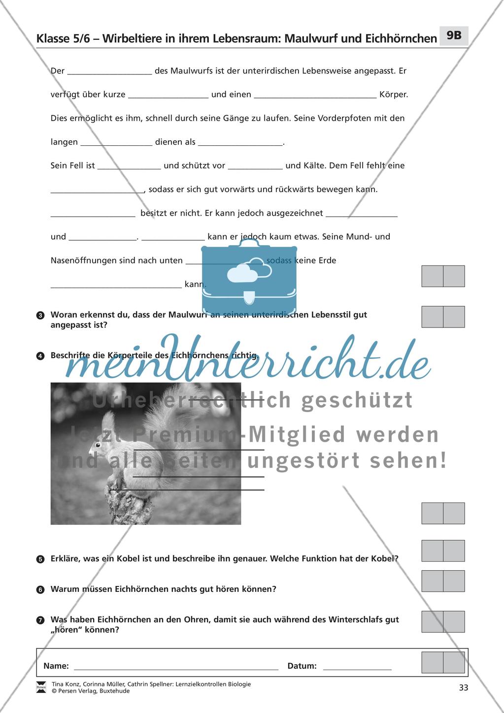 Wirbeltiere in ihrem Lebensraum: Maulwurf und Eichhörnchen Preview 4