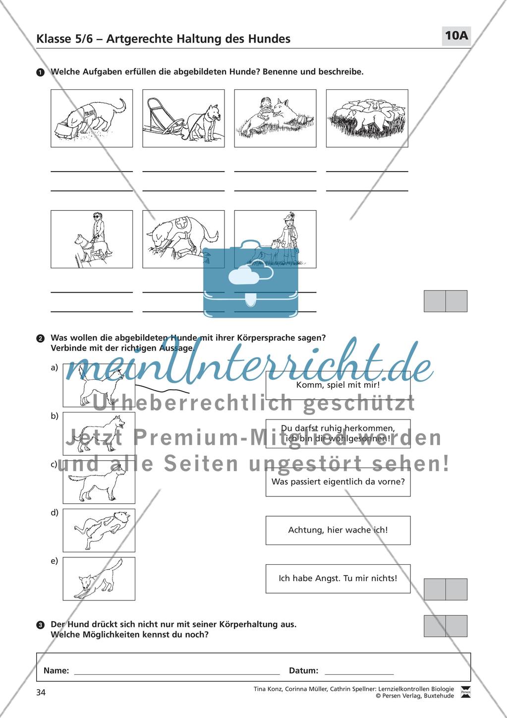 Artgerechte Haltung des Hundes Preview 1