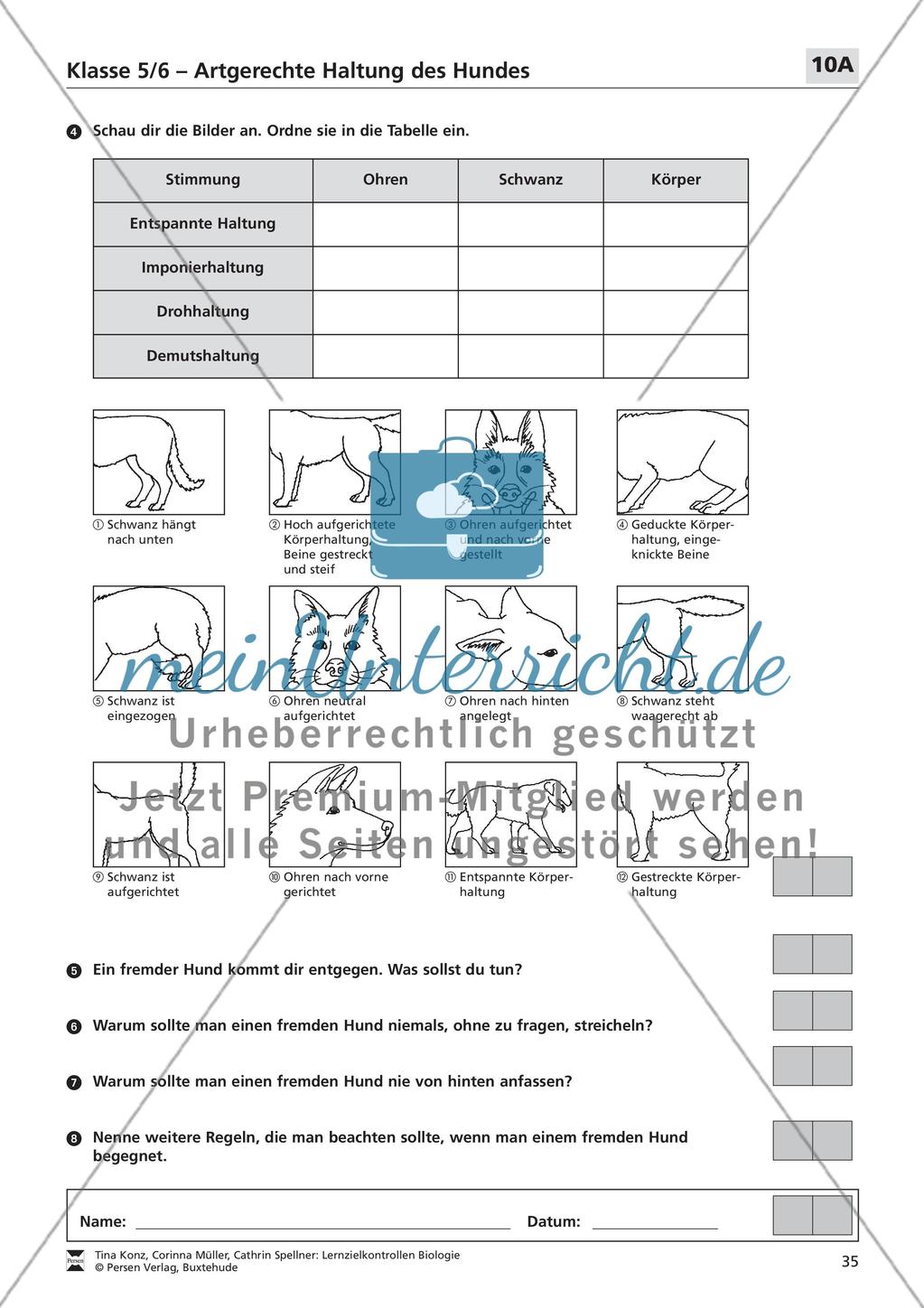 Artgerechte Haltung des Hundes Preview 2
