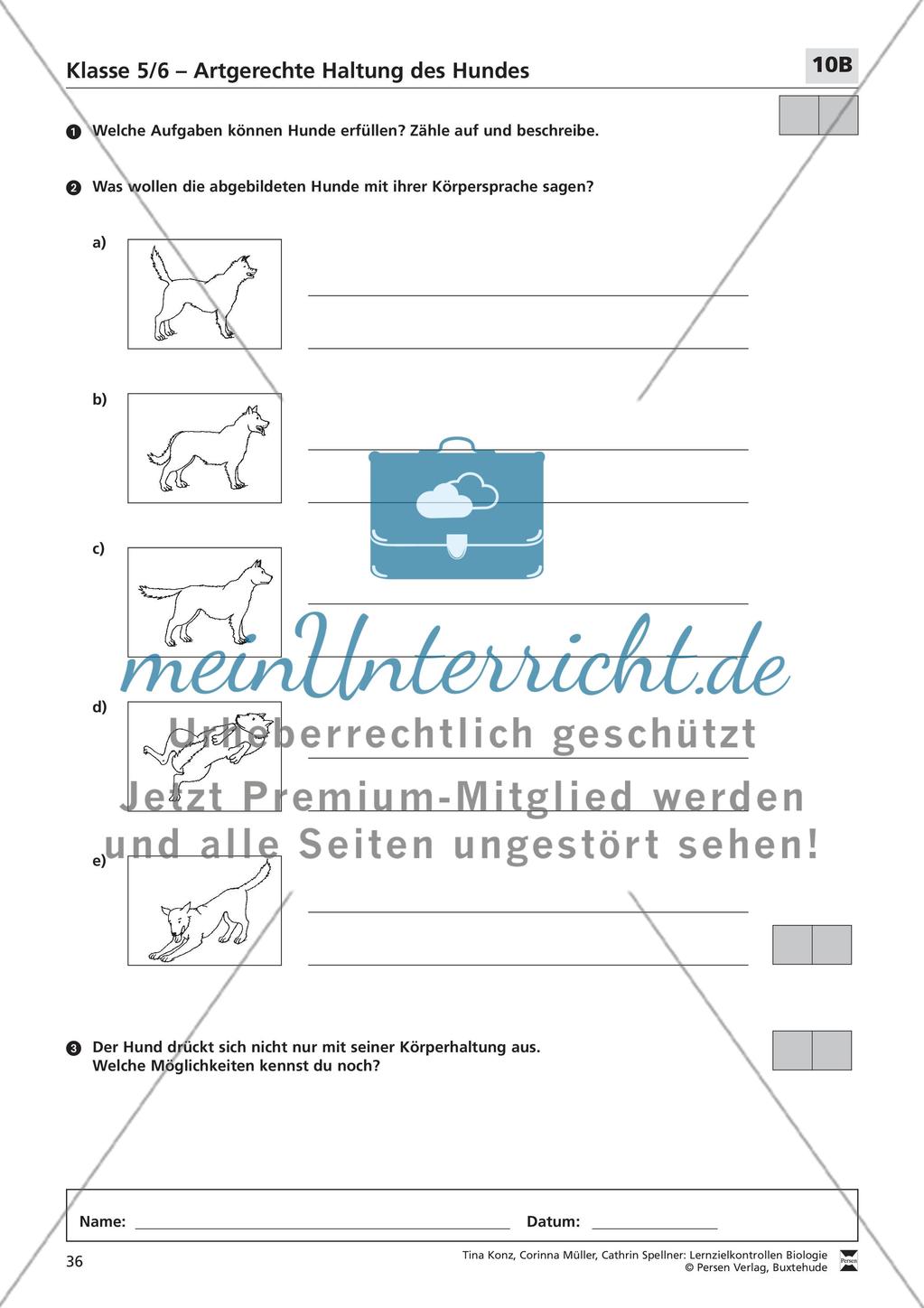Artgerechte Haltung des Hundes Preview 3
