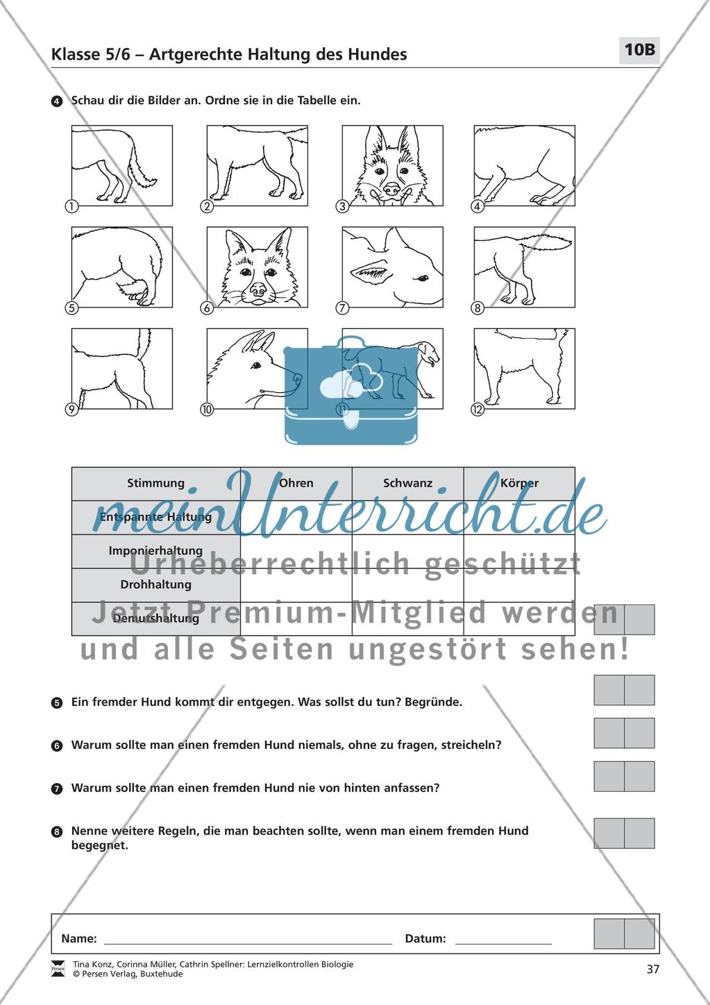 Artgerechte Haltung des Hundes Preview 4