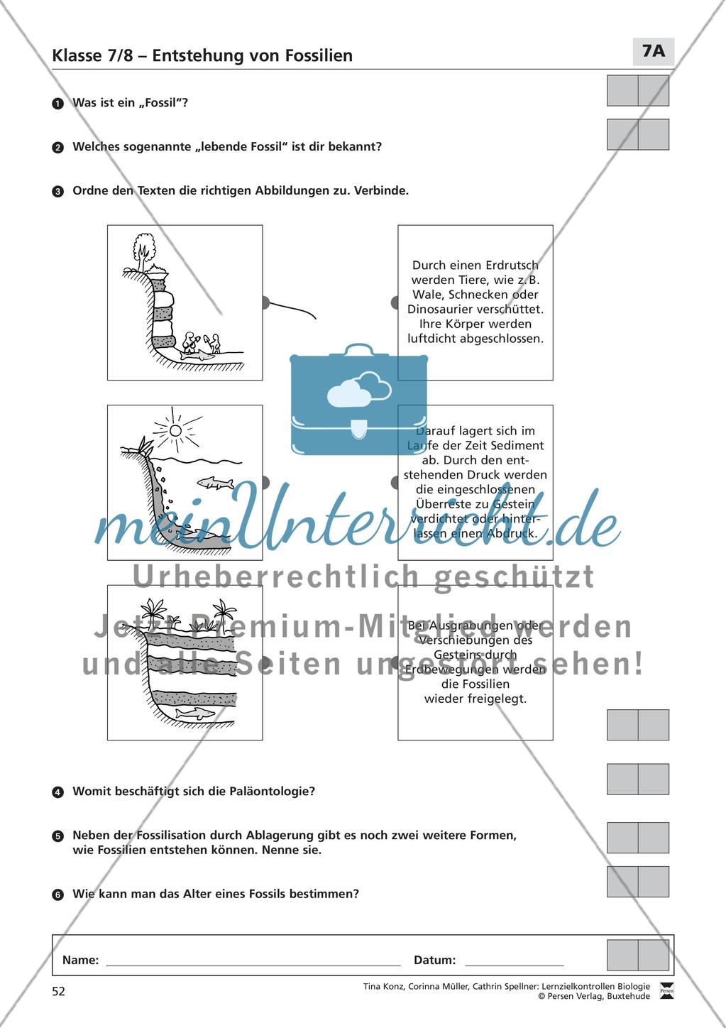 Entstehung von Fossilien Preview 1