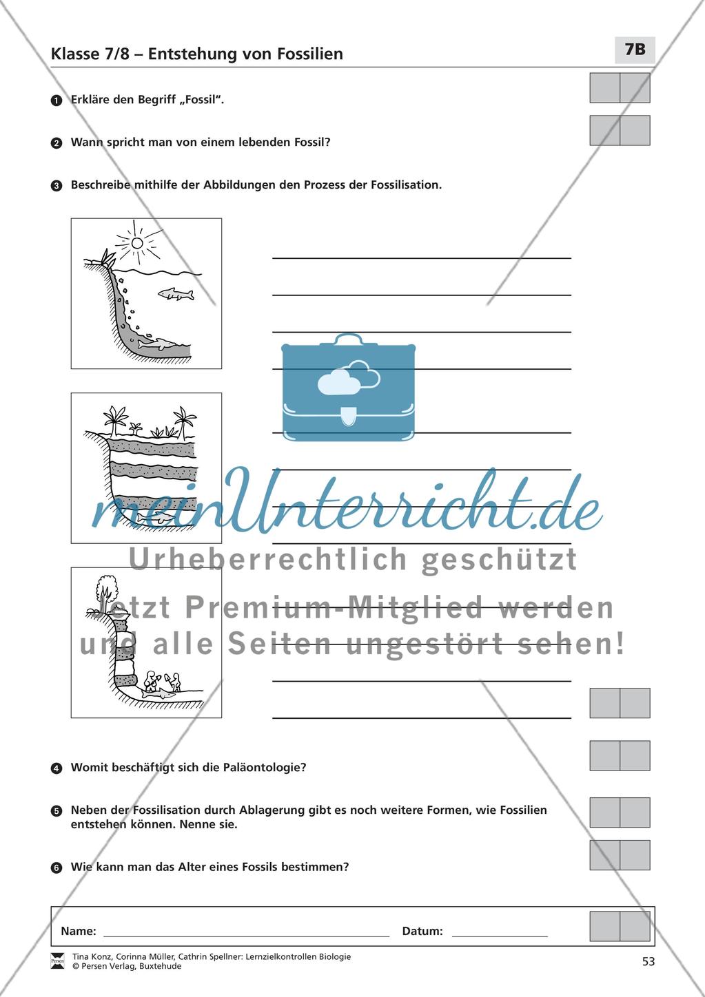 Entstehung von Fossilien Preview 2