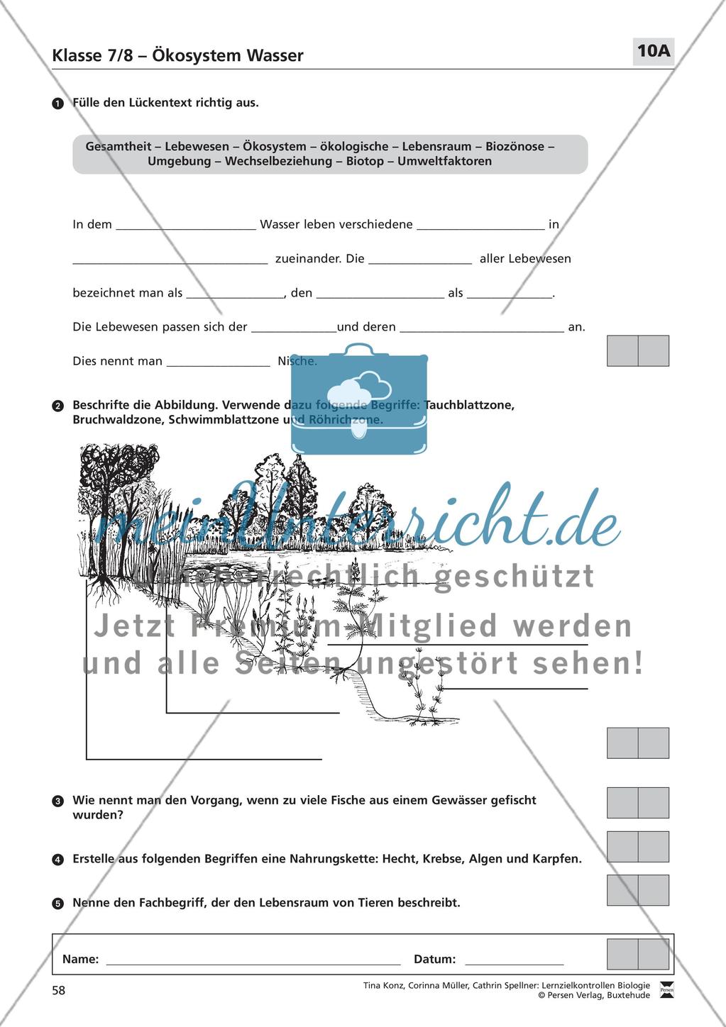 Ökosystem Wasser Preview 1
