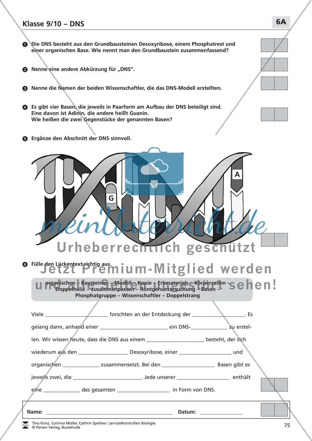 DNS Preview 1