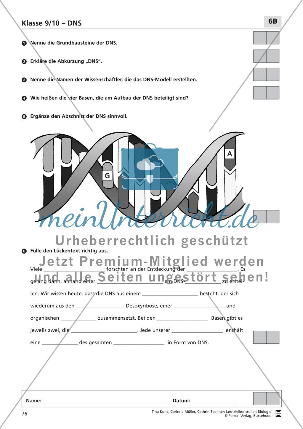 DNS Preview 2