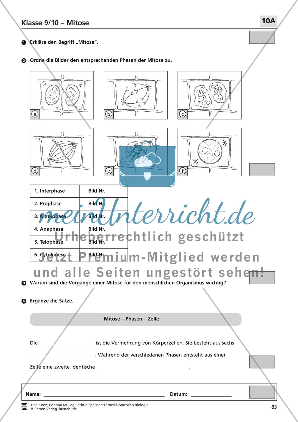 Mitose Preview 1
