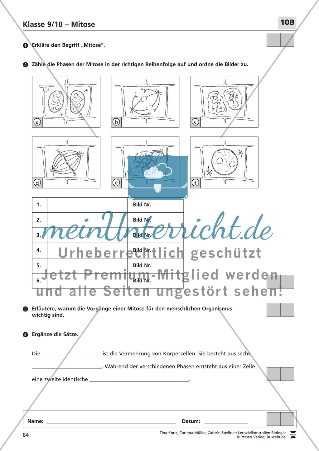 Mitose Preview 2