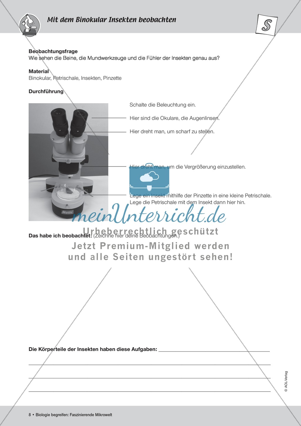 Mit dem Binokular Insekten beobachten - ein Versuch Preview 3