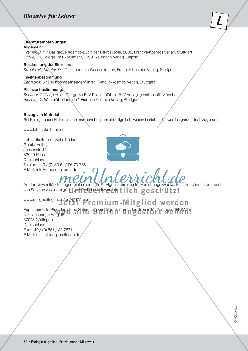 Mit dem Binokular Insekten beobachten - ein Versuch Preview 5