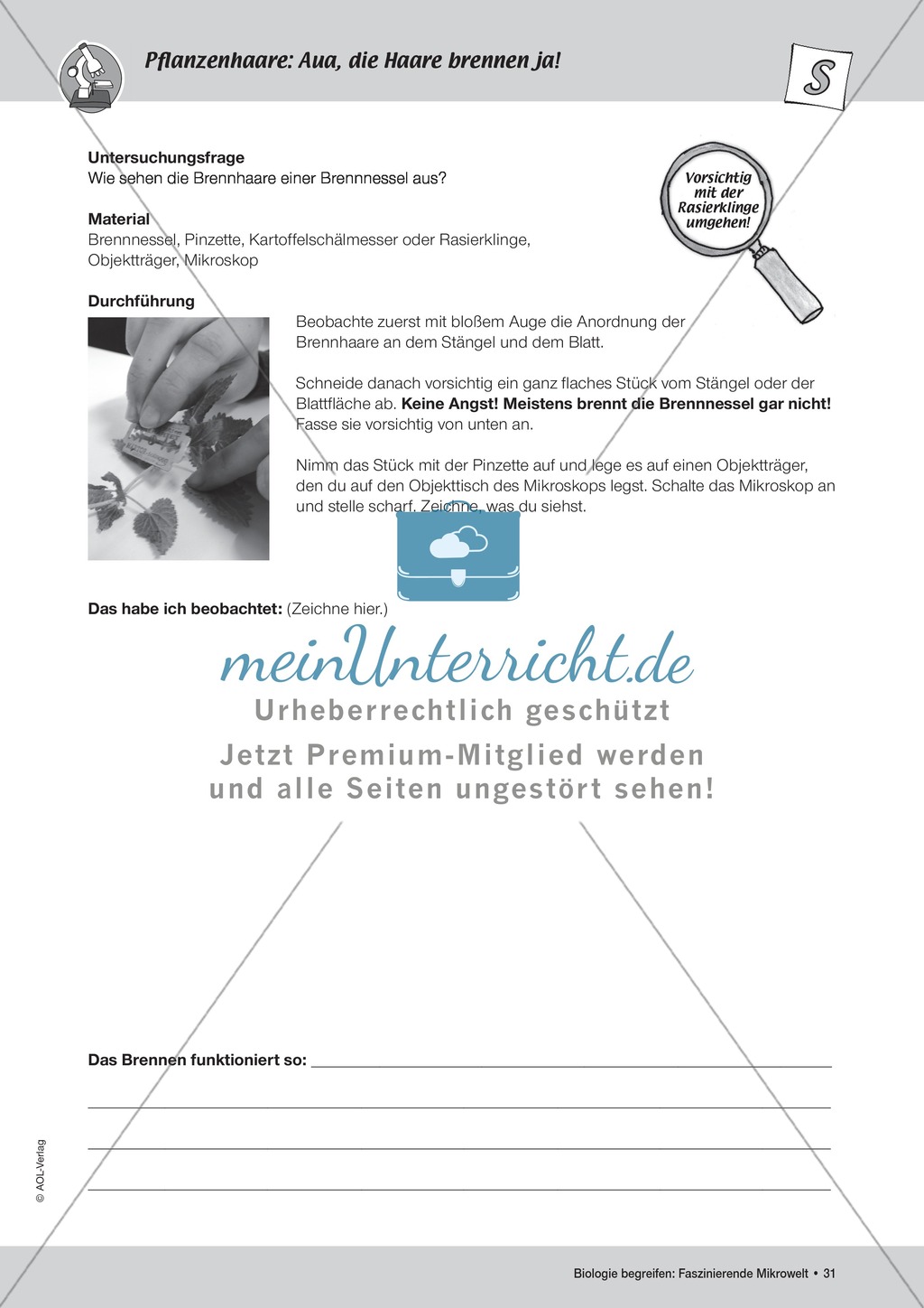 Funktion der Brennhaare der Brennessel - ein Versuch Preview 3