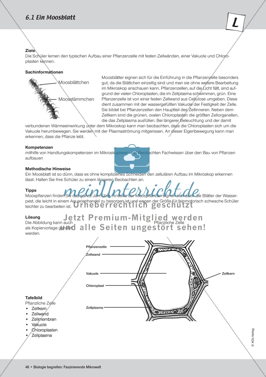 Aufbau einer Pflanzenzelle am Beispiel eines Moosblattes Preview 2