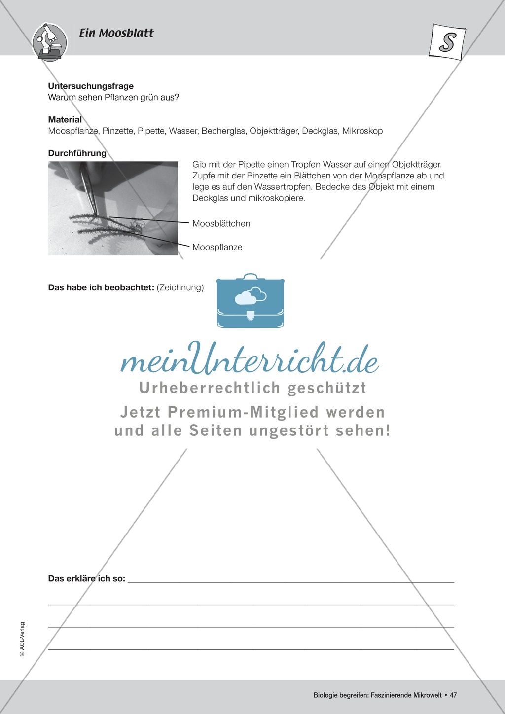 Aufbau einer Pflanzenzelle am Beispiel eines Moosblattes Preview 3