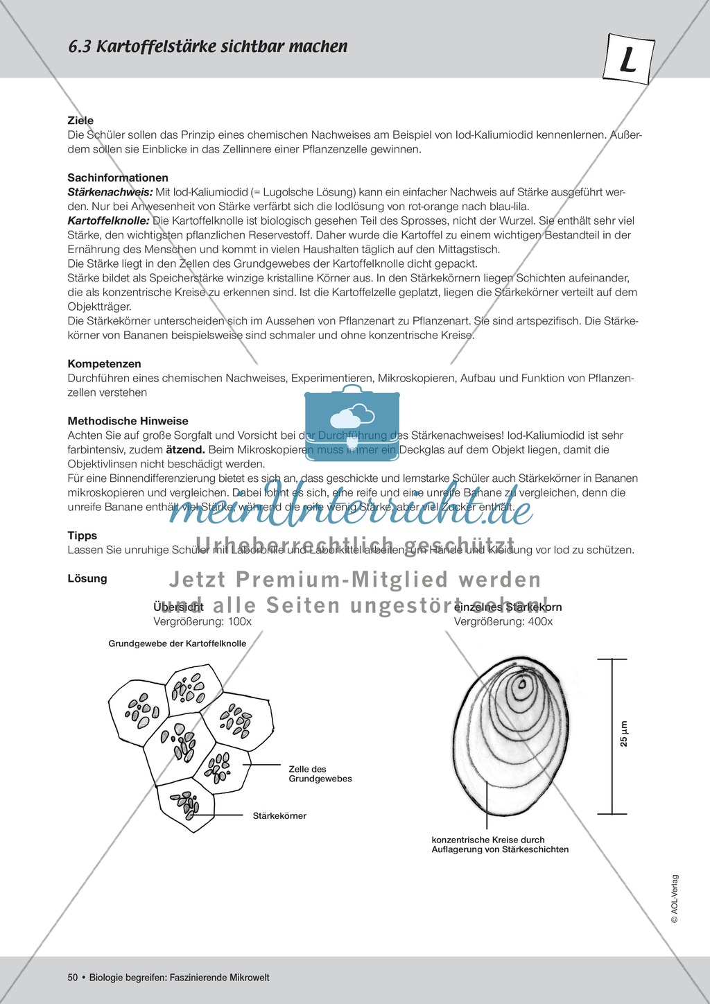 Kartoffelstärke sichtbar machen - ein Versuch Preview 2