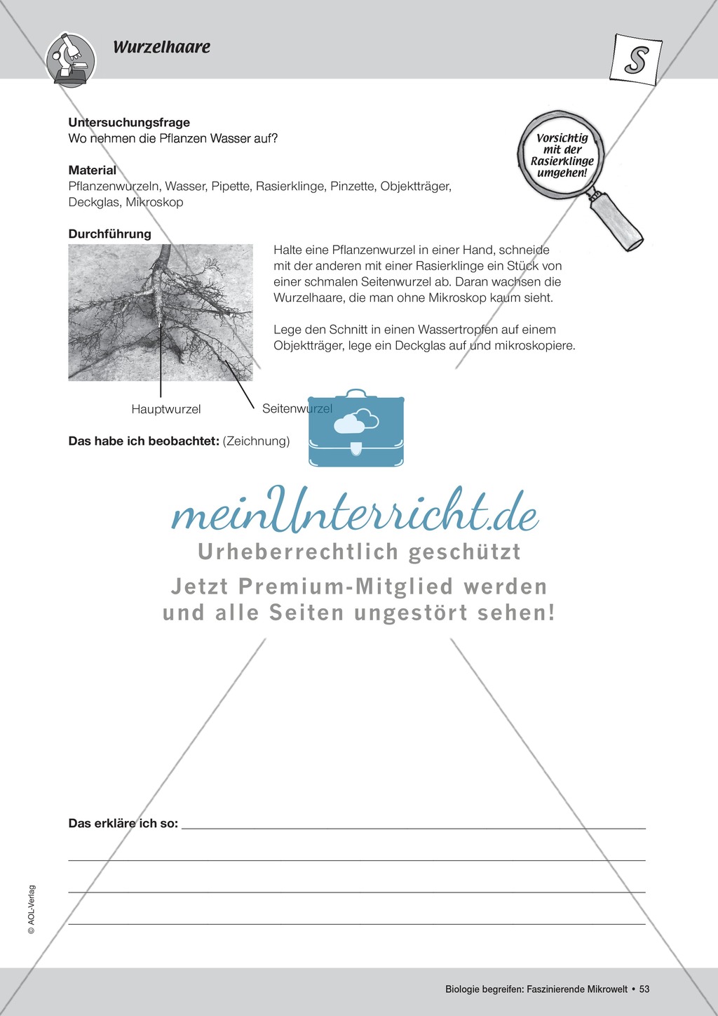 Stellen der Wasseraufnahme an einer Planze - ein Versuch Preview 3