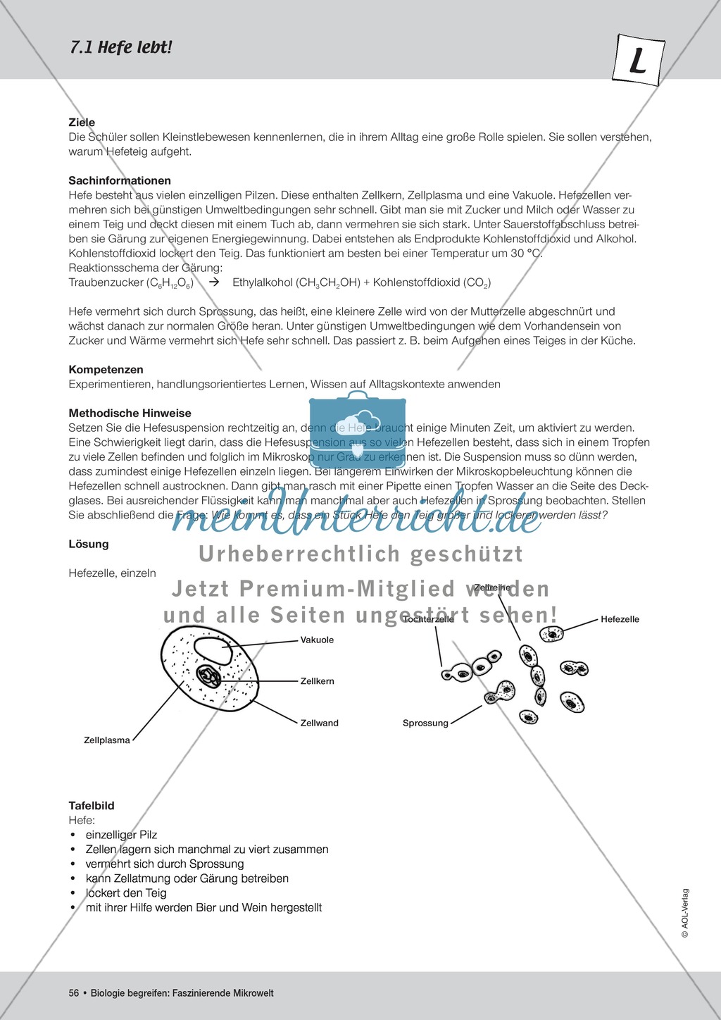 Wie Kleinstlebewesen am täglichen Leben beteiligt sind am Beispiel der Hefe - ein Versuch Preview 2