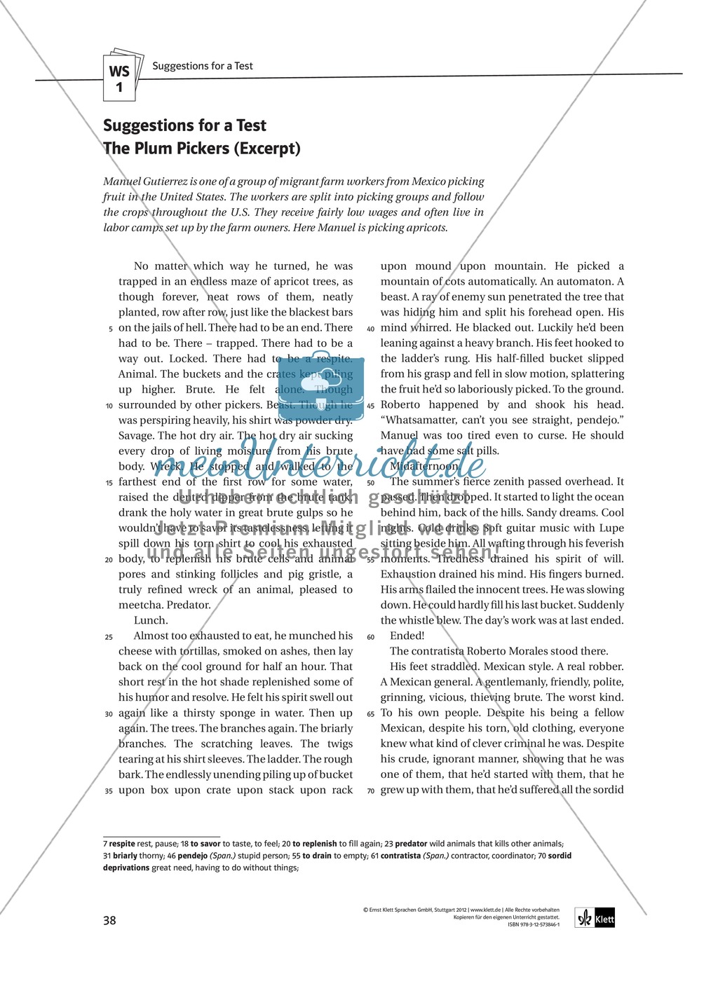 Teaching the Novel in the Classroom: Inhaltszusammenfassung + Kopiervorlagen Preview 12