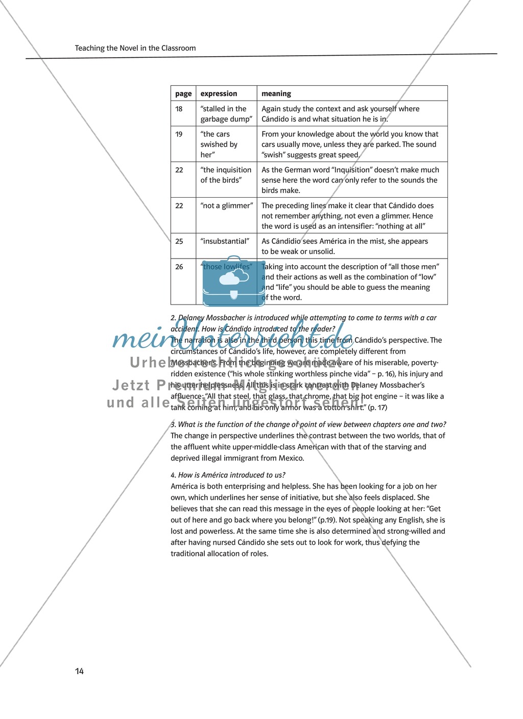Teaching the Novel in the Classroom: Inhaltszusammenfassung + Kopiervorlagen Preview 8