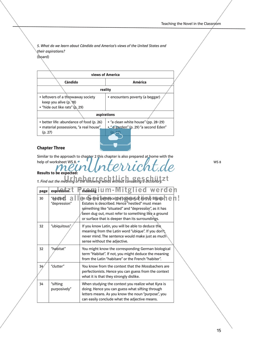 Teaching the Novel in the Classroom: Inhaltszusammenfassung + Kopiervorlagen Preview 9