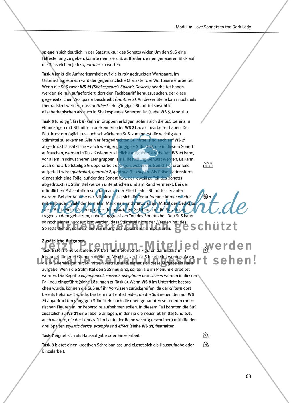 Modul 4: Love Sonnets to the Dark Lady Preview 11