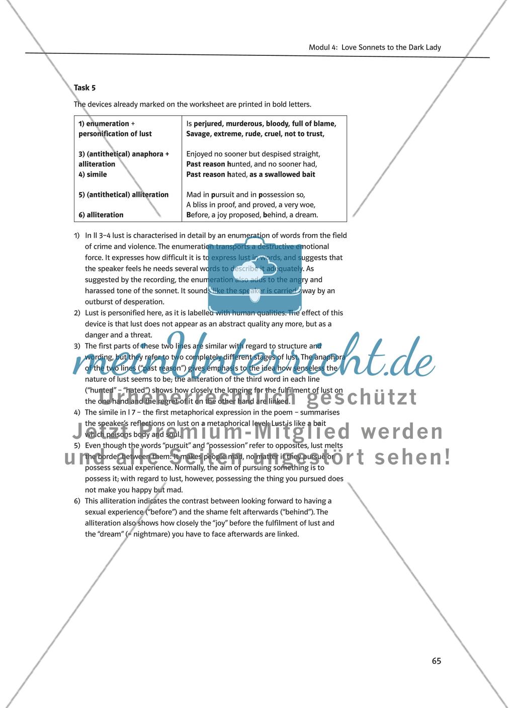 Modul 4: Love Sonnets to the Dark Lady Preview 13