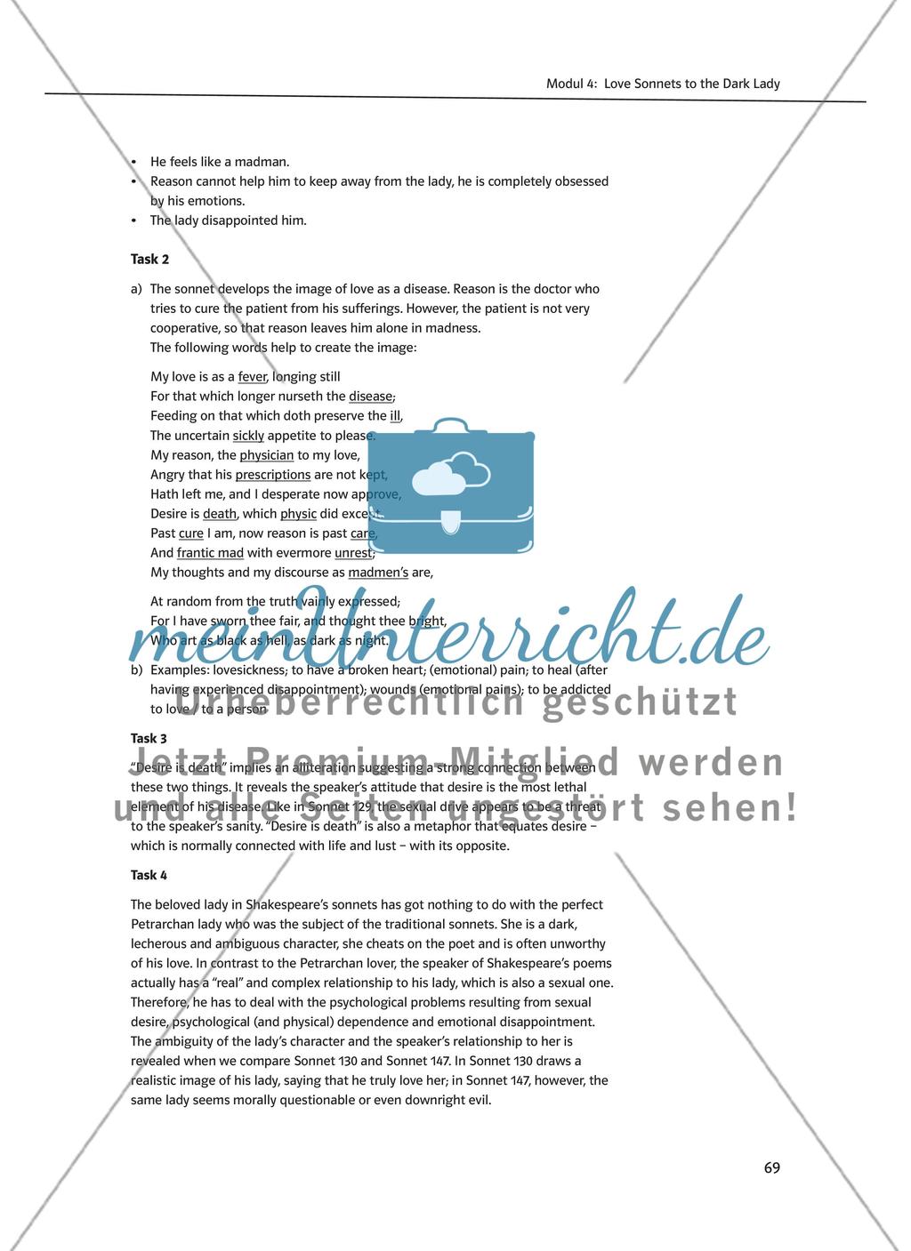 Modul 4: Love Sonnets to the Dark Lady Preview 17